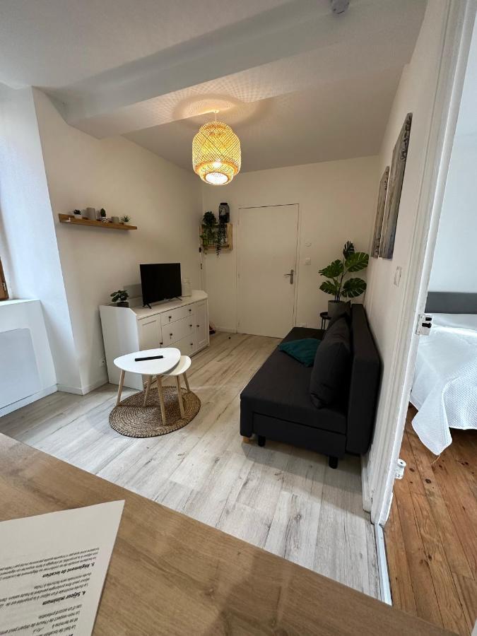 Joli Appartement Proche Centre Ville, Thermes, Aquensis Bagnères-de-Bigorre Eksteriør billede